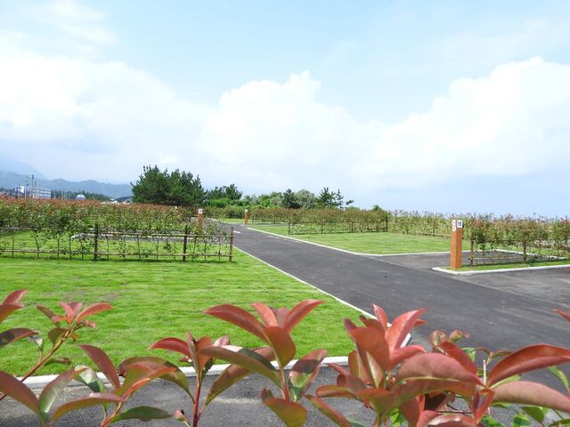 �{��ՊC�����I�[�g�L�����v��