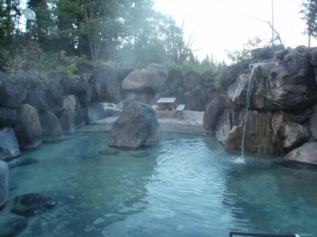 �ԑq�����V���C�@��̓��̎ʐ^1