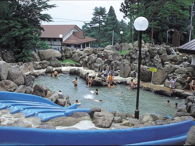 �ԑq�����V���C�@��̓�