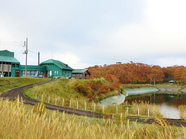 �����������̎ʐ^1