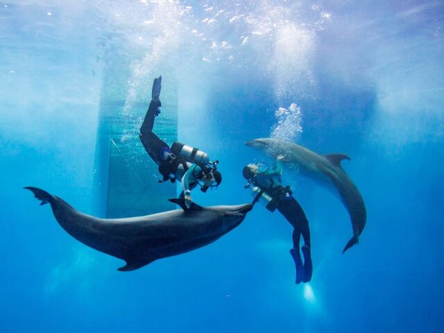 ��z�s�����������ف@���݂�����̎ʐ^1