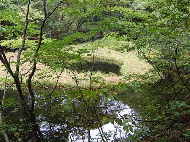 ���a�r�̎ʐ^1