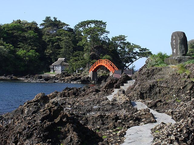 ��E�o���̎ʐ^1