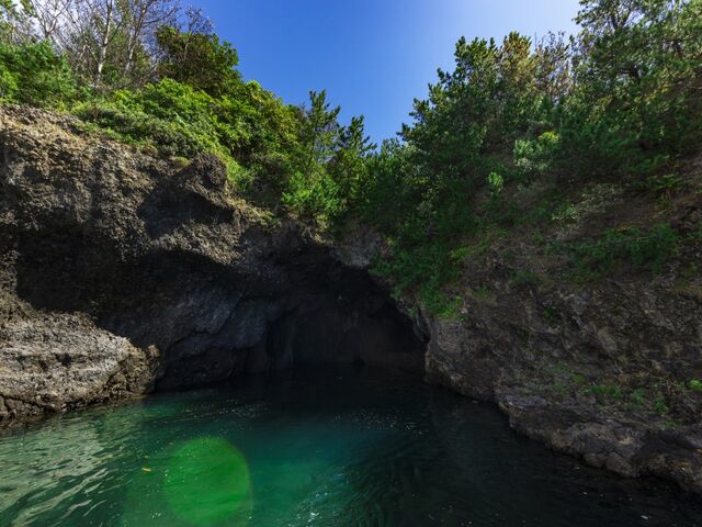 �������̎ʐ^1