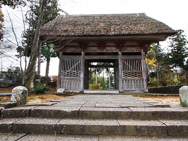 ���鎛�̎ʐ^1