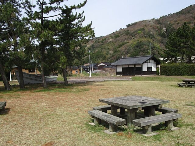 ������q�X�g���[�p�[�N�̎ʐ^1