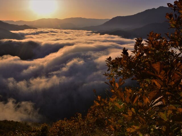 �}�ܓ��i������Ƃ����j�̎ʐ^1