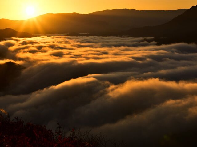 �}�ܓ��i������Ƃ����j