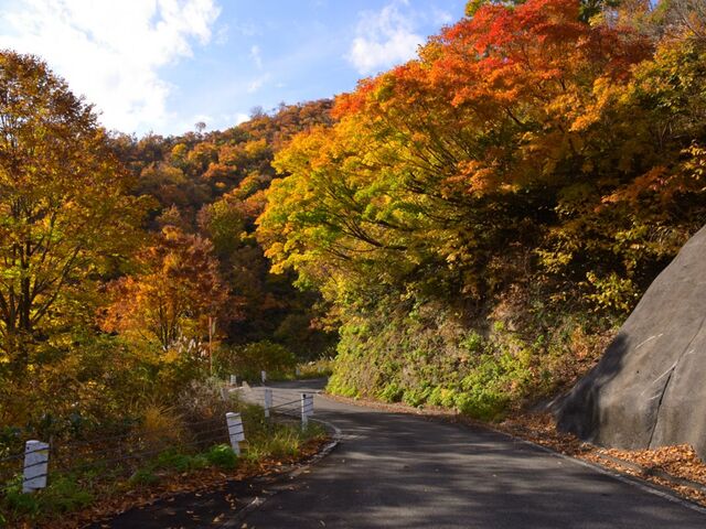 �}�ܓ��i������Ƃ����j