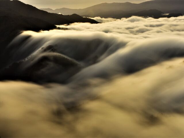 �}�ܓ��i������Ƃ����j