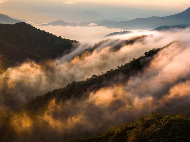 �}�ܓ��i������Ƃ����j