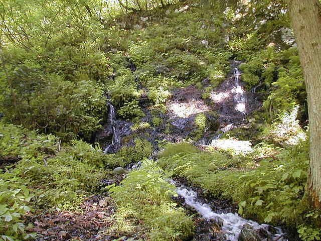 ���d�l�̐��i�炢�ł񂳂܂݂̂��j�̎ʐ^1