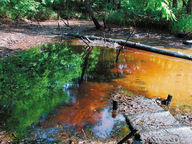 ����Ζ������i����̂��������j�̎ʐ^1