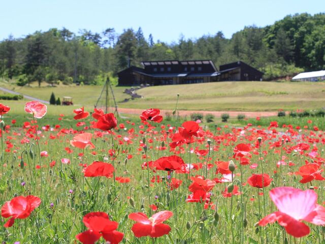 ���򍂌��n�[�o���p�[�N�̎ʐ^1