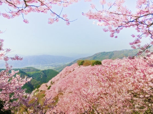 ���S�ݐ_�V��a�̍��̎ʐ^1