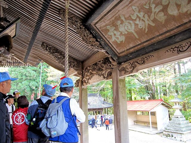 Aj}E~Xe[cA[KCh̎ʐ^1