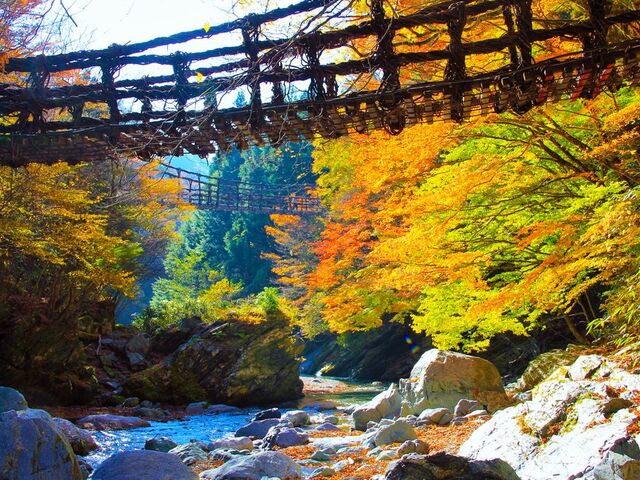 ���c�J��d�����狴�̍g�t�̎ʐ^1