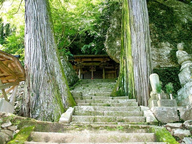 ���J���i���̊≮�j�̎ʐ^1