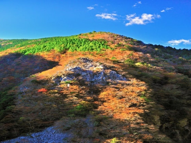 ���̐����̎ʐ^1