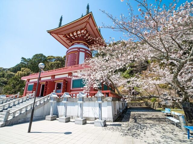 ��23�ԎD���@�򉤎��̎ʐ^1