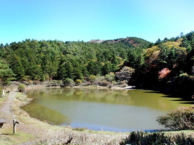 �v�w�r�̎ʐ^1