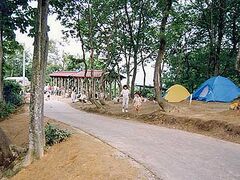 川口運動公園 オートキャンプ場・高原キャンプ場の写真1