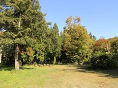 ���c�������̎ʐ^1