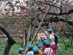 ������񂲉��̎ʐ^1