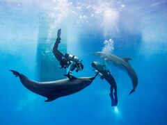 上越市立水族博物館 うみがたりの写真1