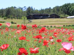 芦沢高原ハーバルパークの写真1