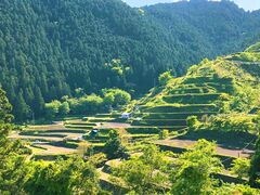 �{�a�̒I�c�̎ʐ^1