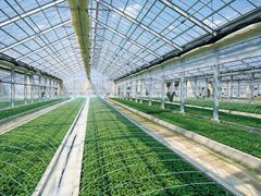 ������Ё@�|�����|�̎ʐ^