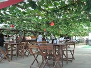 �t���[�c������܂��_���̎ʐ^3