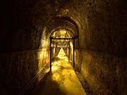 ���R詓��̎ʐ^2