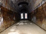 ���R詓��̎ʐ^3