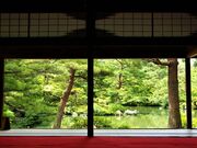 �������̎ʐ^3