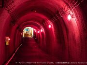 ���Ë��^Tunnel of Light�̎ʐ^1