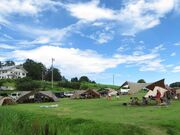 �z��ȗL�匵�������L�����v��̎ʐ^2