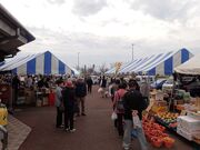 ���̉w�@�u�_�сi��g�̗��j�v�̎ʐ^4