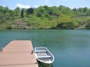 �q�[�����O�K�[�f�������Ȃ݃L�����v��̎ʐ^4