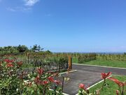 �{��ՊC�����I�[�g�L�����v��̎ʐ^4