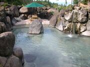 �ԑq�����V���C�@��̓��̎ʐ^2