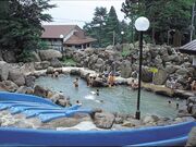 �ԑq�����V���C�@��̓��̎ʐ^4