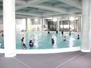 ���������w�ƍ����􍂌������ԁu���������s�o�X�v�B�̎ʐ^4