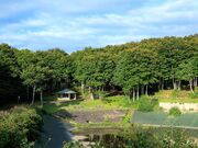 �����������̎ʐ^2