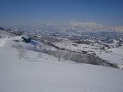 �����������̎ʐ^3