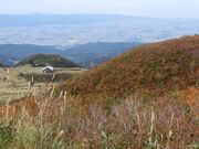 �����������̎ʐ^4