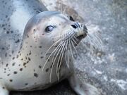 ��z�s�����������ف@���݂�����̎ʐ^4