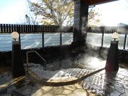 �������̋��i���􉷐�j�̎ʐ^2