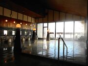 �������̋��i���􉷐�j�̎ʐ^4